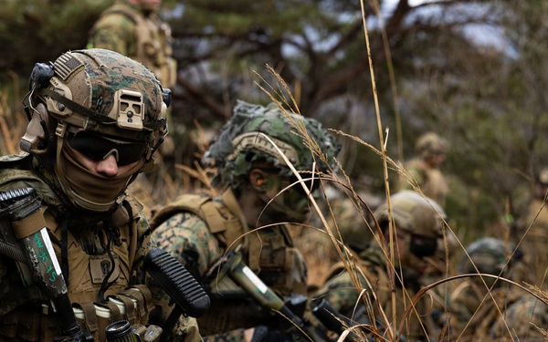 U.S. Marines with 12th LCT’s Bravo Company Execute a CALFEX