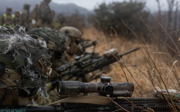 U.S. Marines with 12th LCT’s Bravo Company Execute a CALFEX