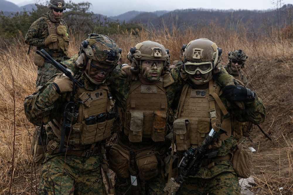 U.S. Marines with 12th LCT’s Bravo Company Execute a CALFEX