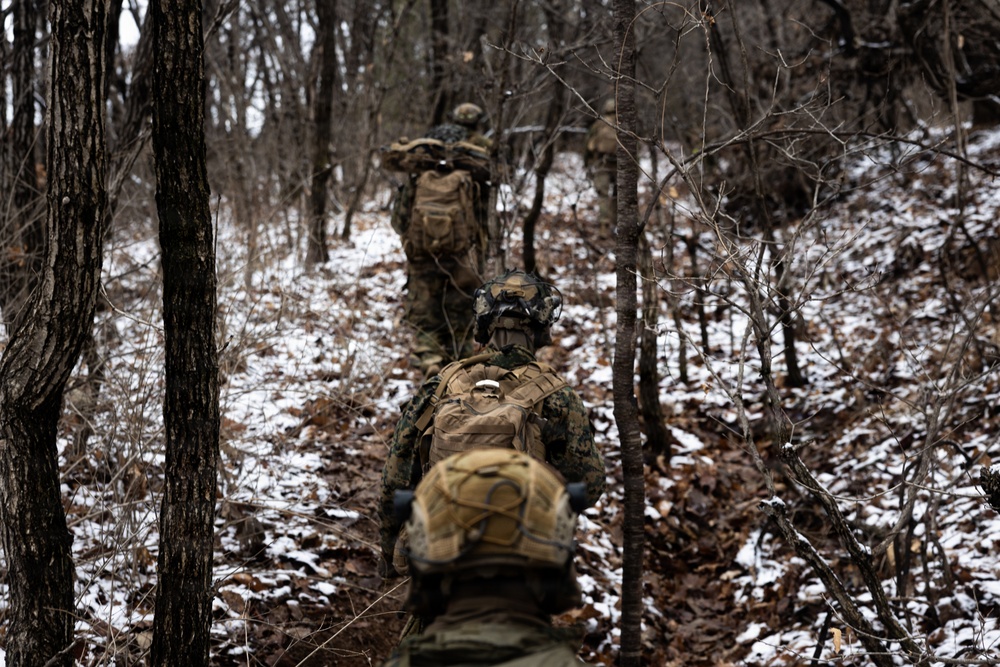 U.S. Marines with 12th LCT’s Bravo Company Execute a CALFEX