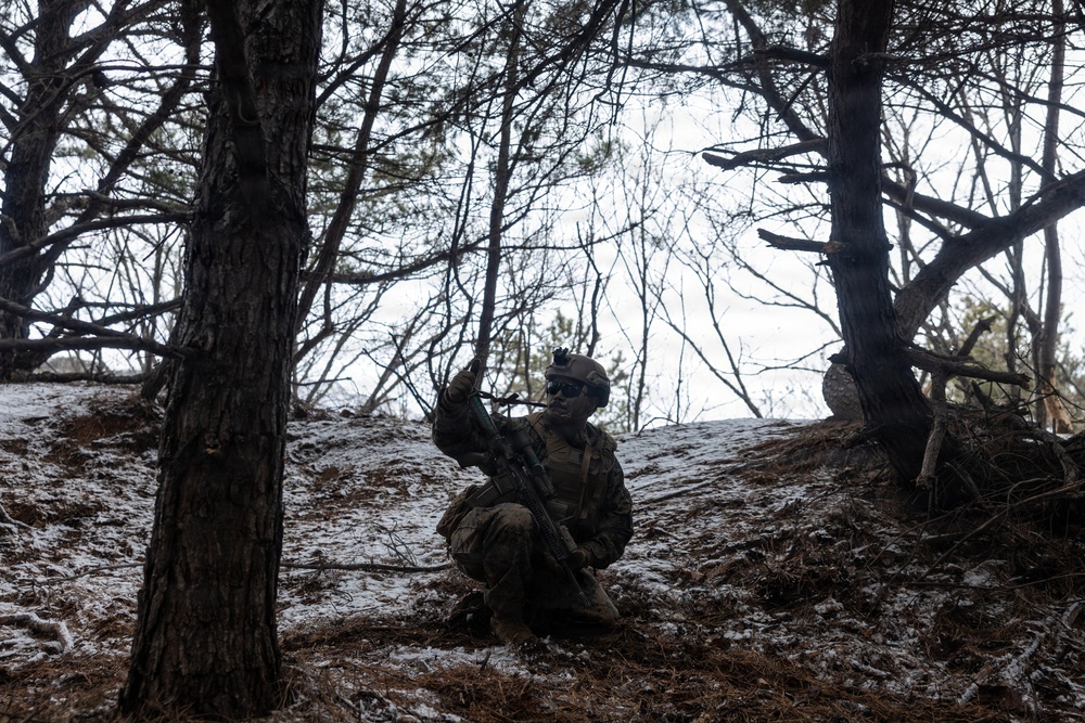 U.S. Marines with 12th LCT’s Bravo Company Execute a CALFEX