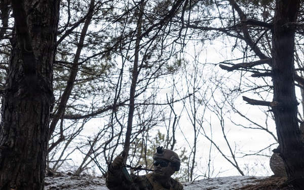 U.S. Marines with 12th LCT’s Bravo Company Execute a CALFEX