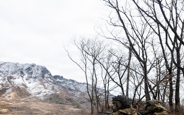 U.S. Marines with 12th LCT’s Bravo Company Execute a CALFEX