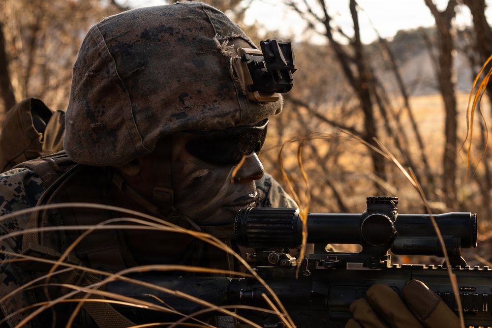 U.S. Marines and Sailors with 12th LCT Rehearse a Company-Sized Attack