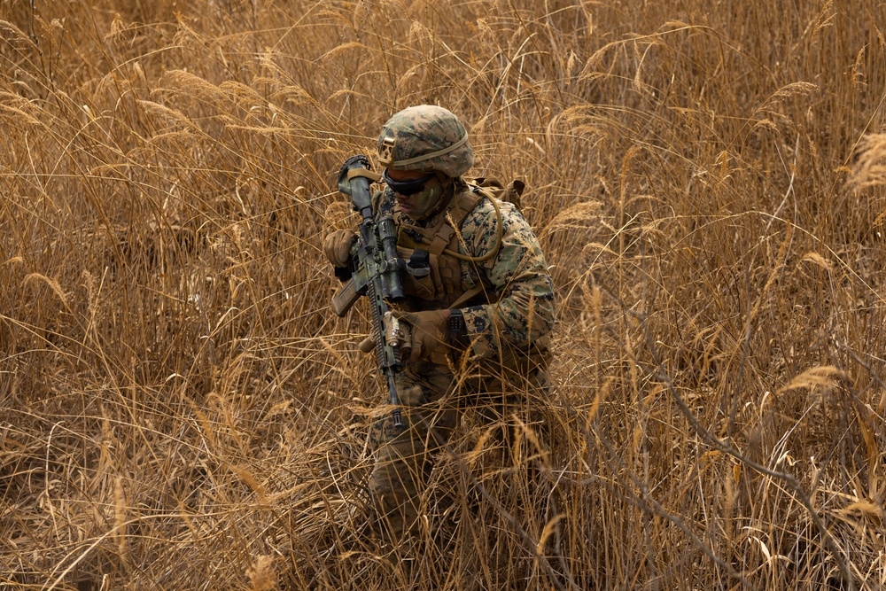 U.S. Marines and Sailors with 12th LCT Rehearse a Company-Sized Attack