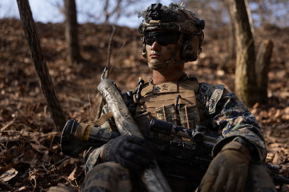 U.S. Marines with 12th LCT’S Alpha Company Execute a CALFEX