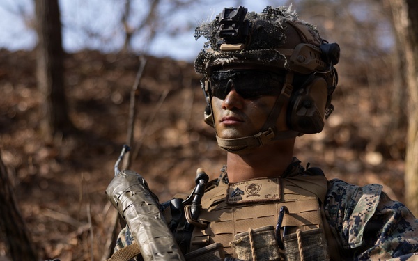 U.S. Marines with 12th LCT’S Alpha Company Execute a CALFEX