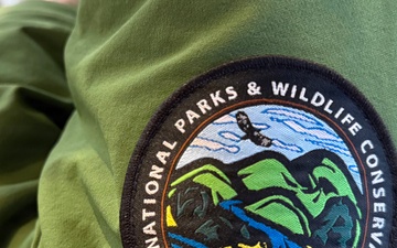 USAG Okinawa, Japanese partners eradicate invasive ants