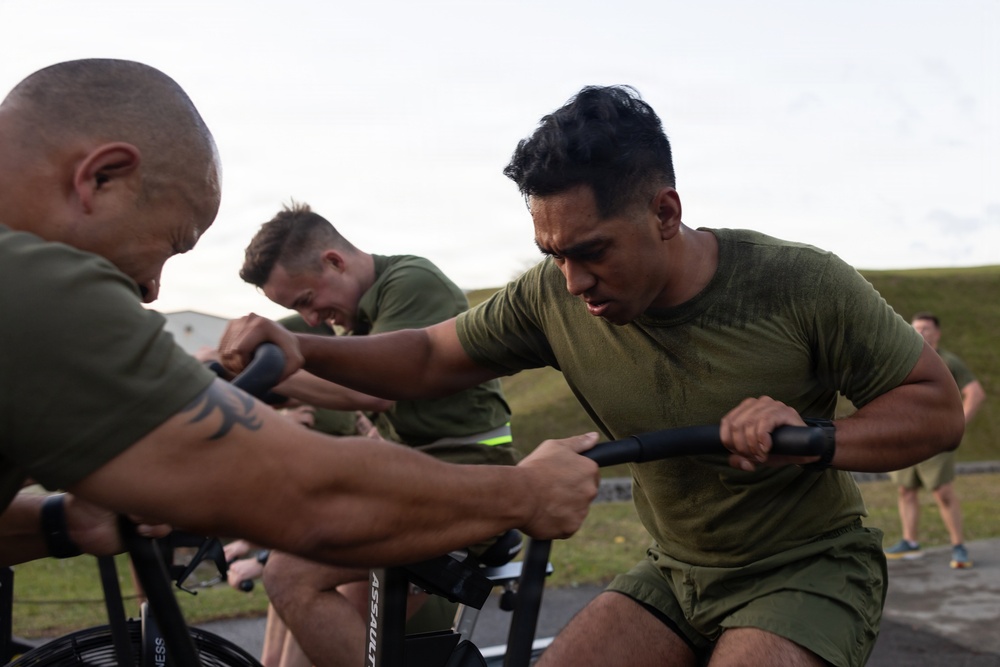 3rd Marine Division Staff and Officers Execute Physical Training Session
