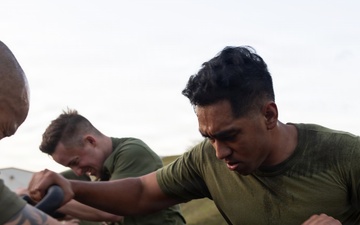 3rd Marine Division Staff and Officers Execute Physical Training Session