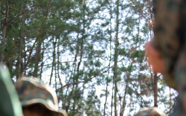 MWSS-171 strengthens readiness during Haramura Field Training Exercise