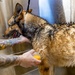 MWD Spa Day