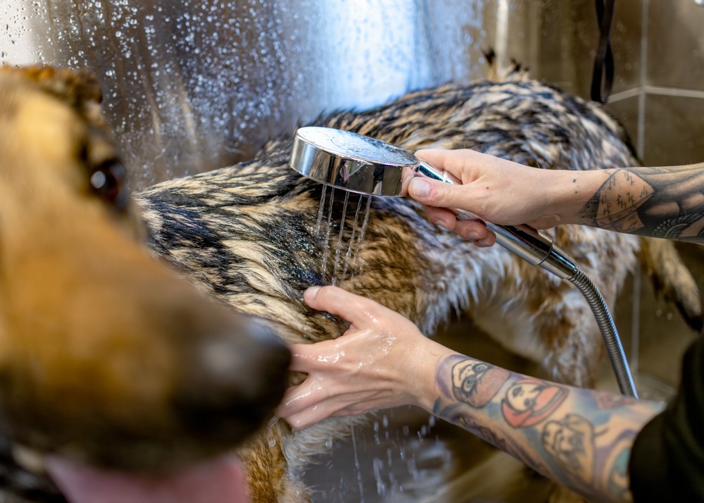 MWD Spa Day