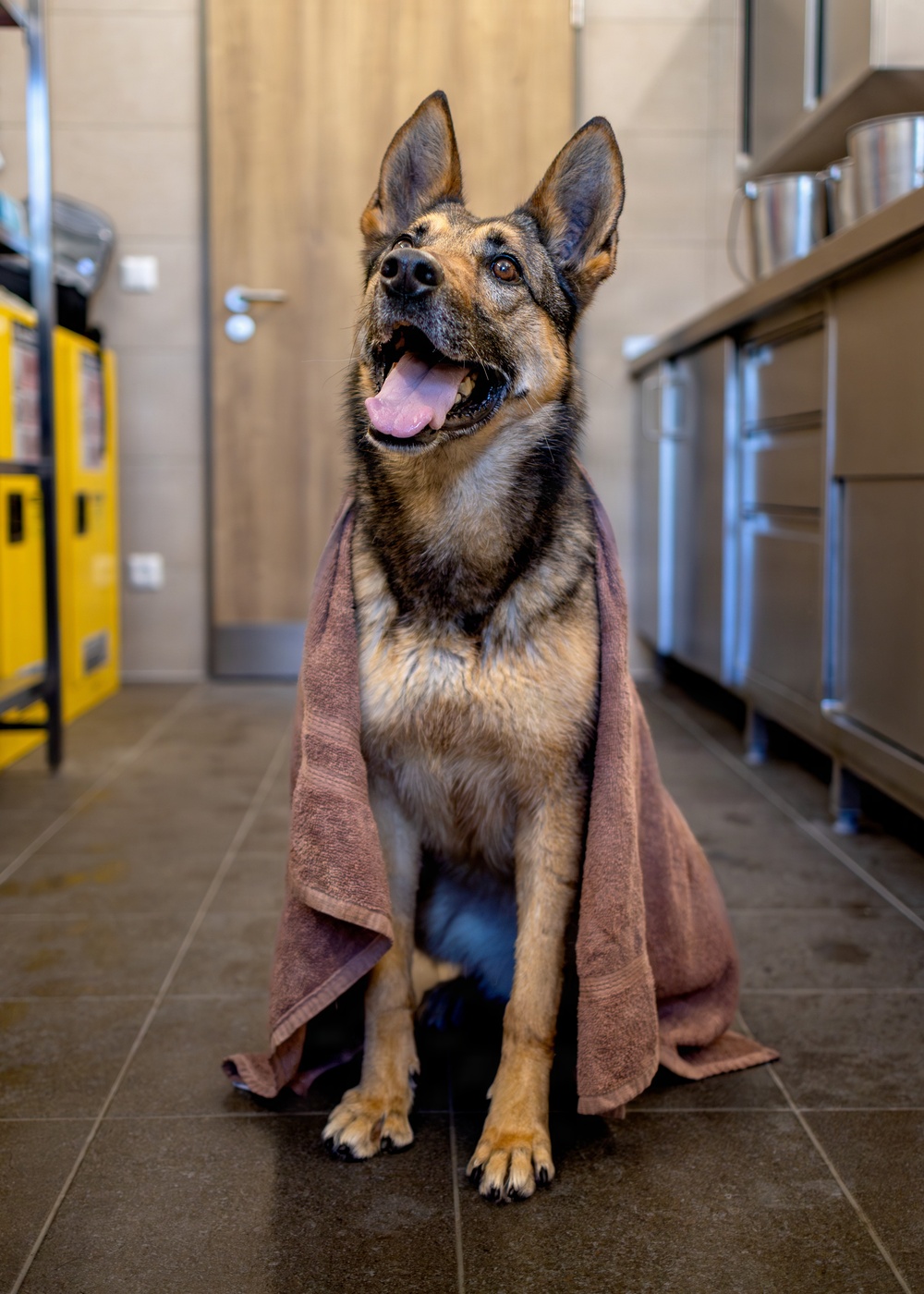 MWD Spa Day