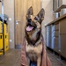 MWD Spa Day