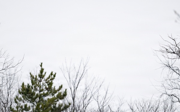 Military Funeral Honors are Conducted for U.S. Army Cpl. Thaddeus Pecorak