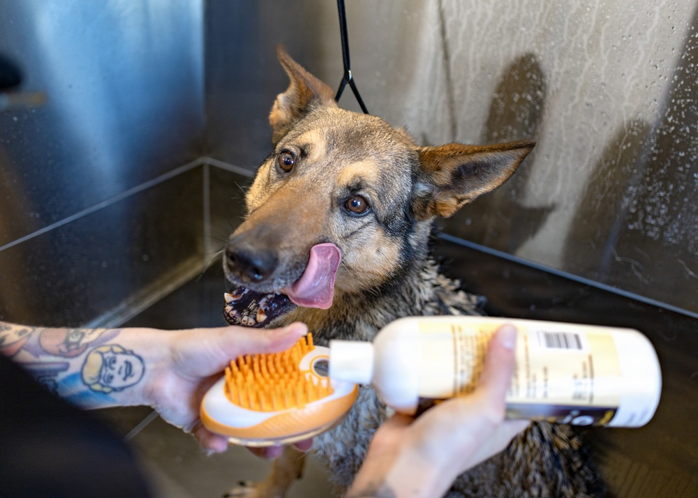 MWD Spa Day