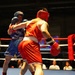 USAG Bavaria Hosts Annual St. Patrick’s Day Boxing Event