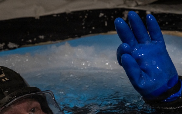 Operation ICE CAMP 2026