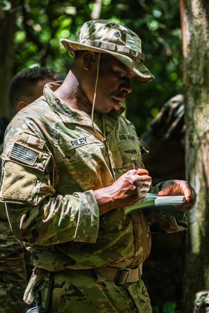 Operation Market Garden 81 - News In One Sept 24, 2025