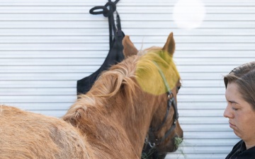 U.S. Marine Corps Mounted Color Guard participates in Yuma Airshow 2026
