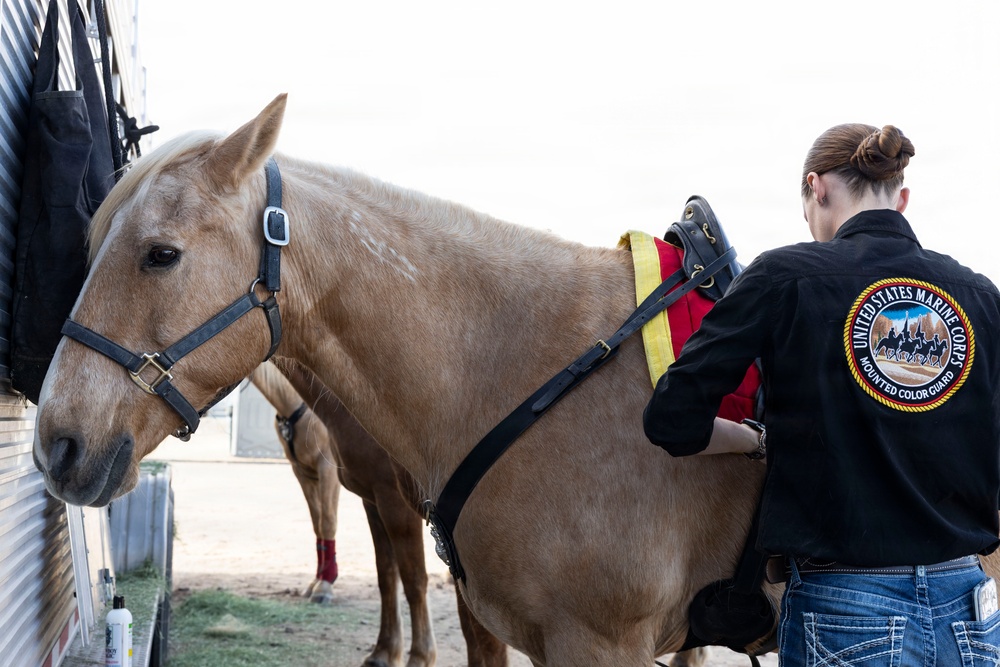 U.S. Marine Corps Mounted Color Guard participates in Yuma Airshow 2026