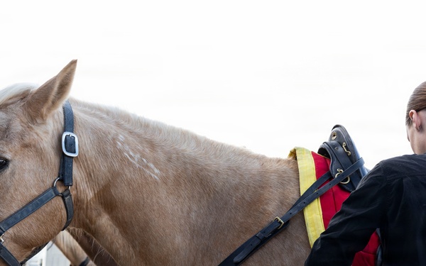 U.S. Marine Corps Mounted Color Guard participates in Yuma Airshow 2026