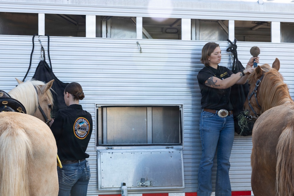 U.S. Marine Corps Mounted Color Guard participates in Yuma Airshow 2026