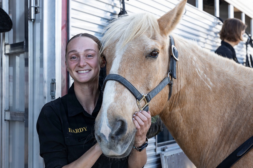 U.S. Marine Corps Mounted Color Guard participates in Yuma Airshow 2026