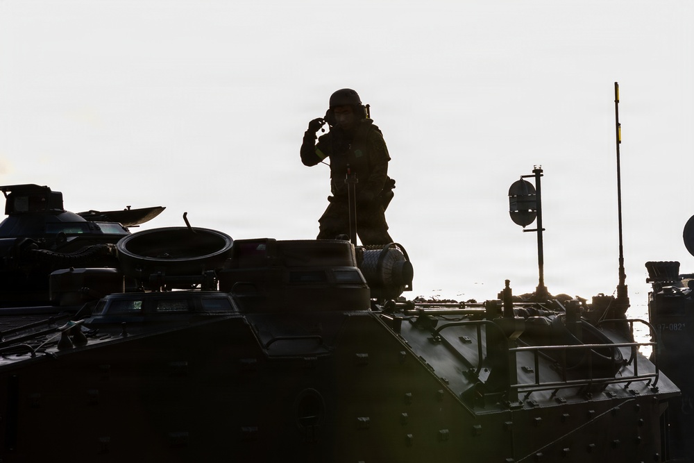 U.S., Japan Amphibious Tactical Vehicle Landings