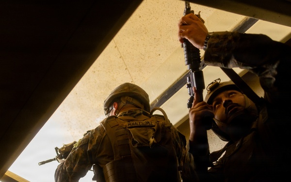 U.S. Marines with 4th LAR Conduct Urban Operations Training