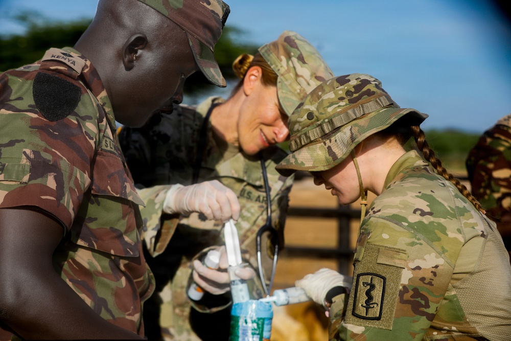 US, Kenya veterinarians strengthen bonds during Justified Accord 2026