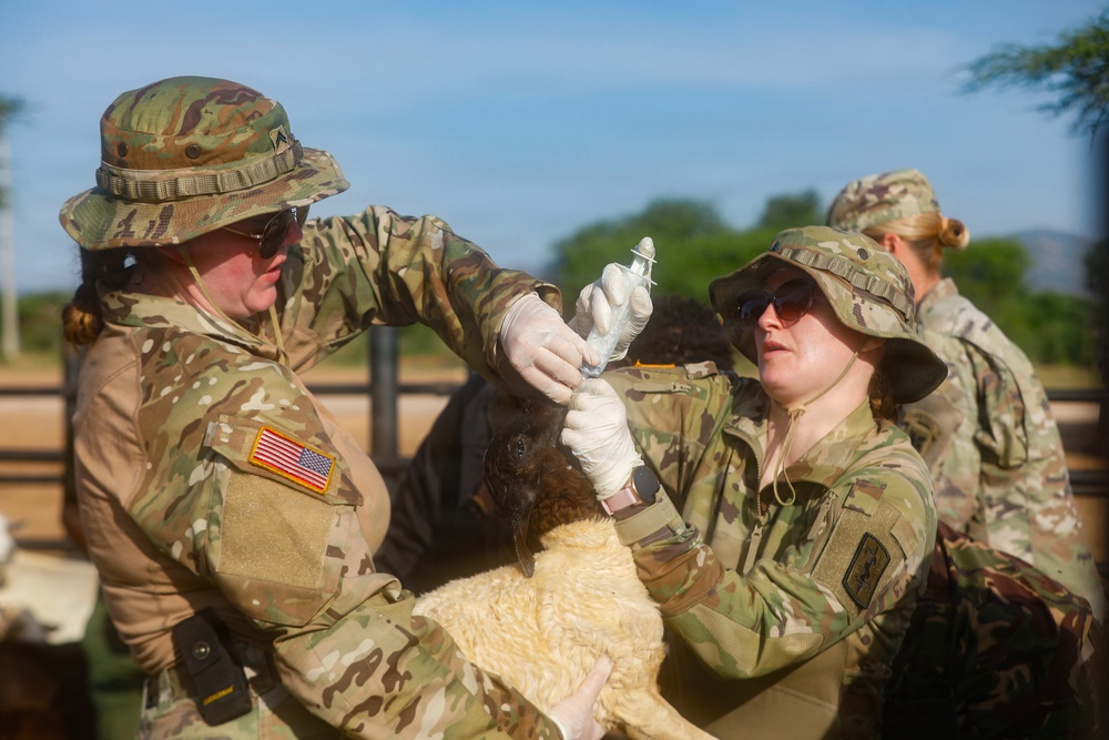 US, Kenya veterinarians strengthen bonds during Justified Accord 2026