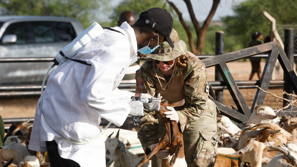 US, Kenya veterinarians strengthen bonds during Justified Accord 2026