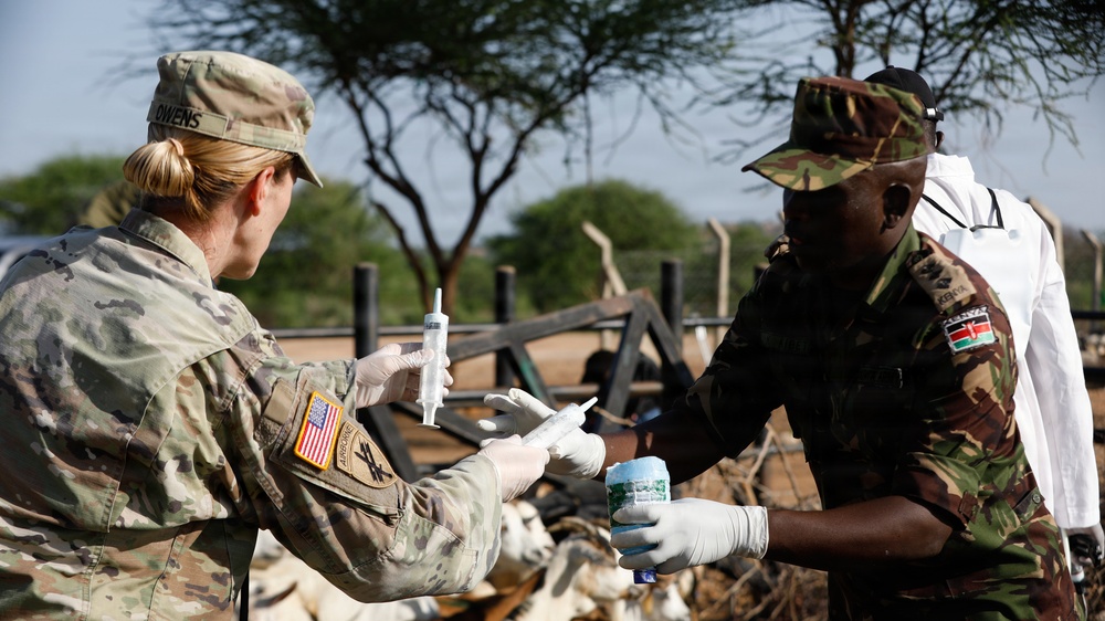 US, Kenya veterinarians strengthen bonds during Justified Accord 2026