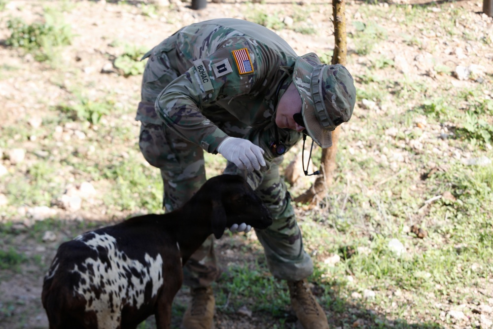 US, Kenya veterinarians strengthen bonds during Justified Accord 2026
