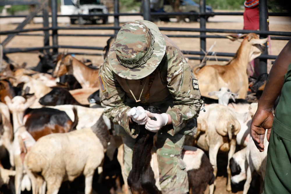 US, Kenya veterinarians strengthen bonds during Justified Accord 2026