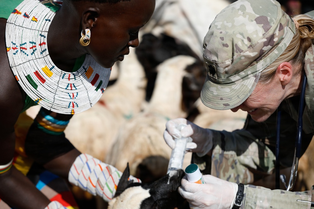 US, Kenya veterinarians strengthen bonds during Justified Accord 2026