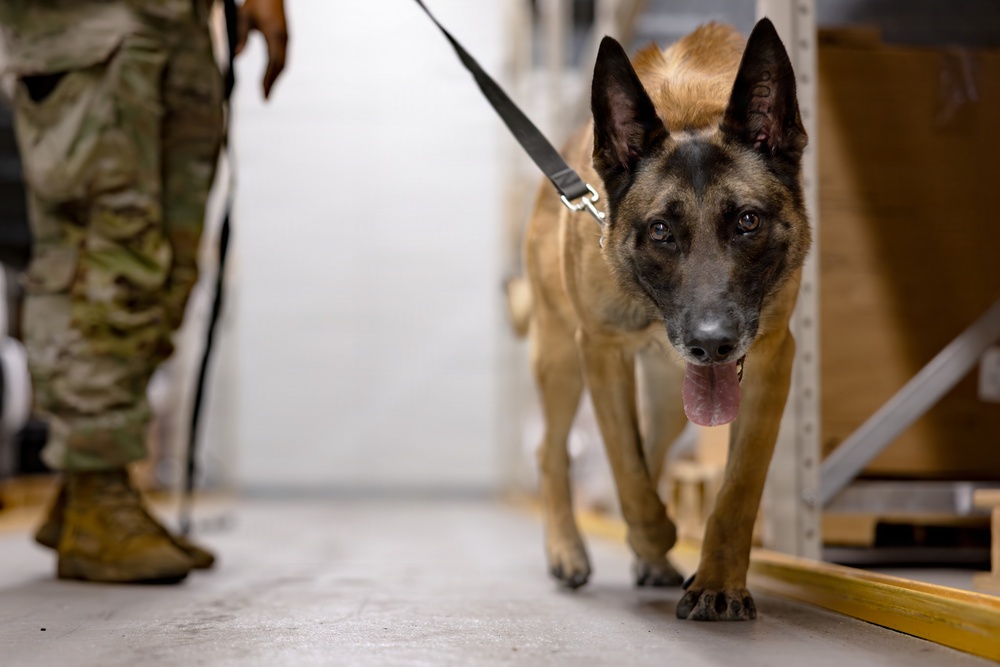 MWD Validations