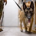 MWD Validations
