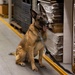 MWD Validations