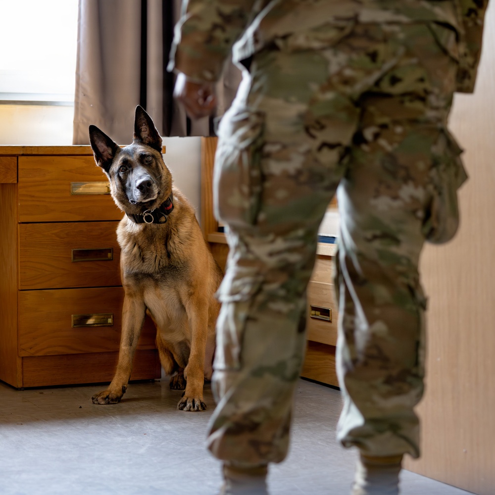 MWD Validations