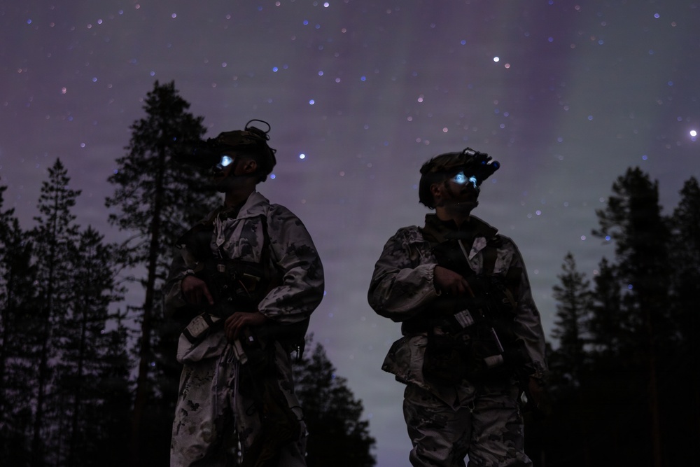 CORE26 | U.S. Marines, Allied Partners Engage in Force-on-Force Combined Simulation During Cold Response