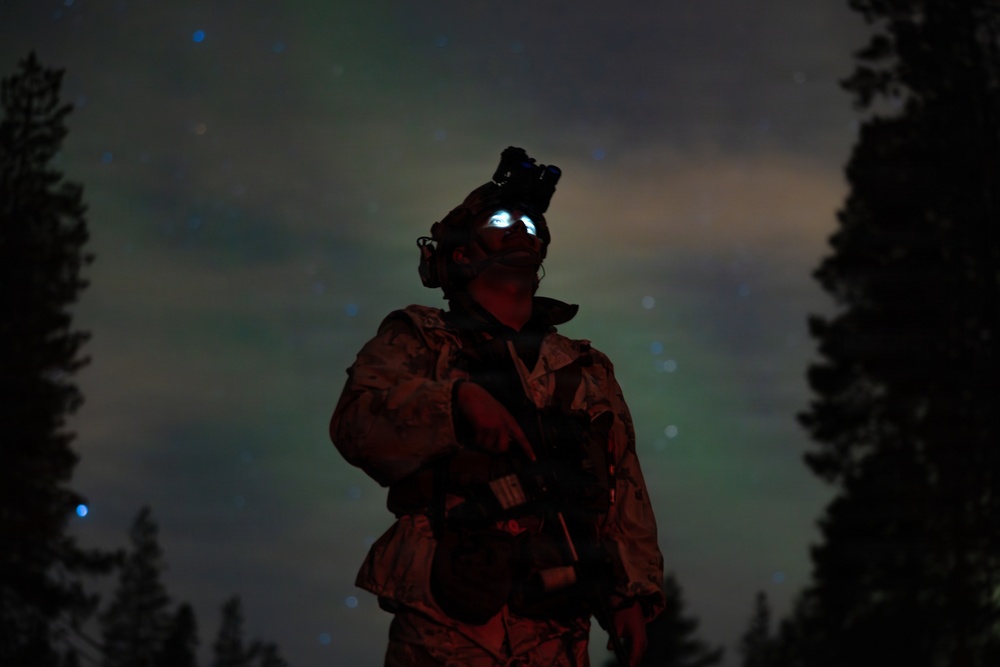 CORE26 | U.S. Marines, Allied Partners Engage in Force-on-Force Combined Simulation During Cold Response