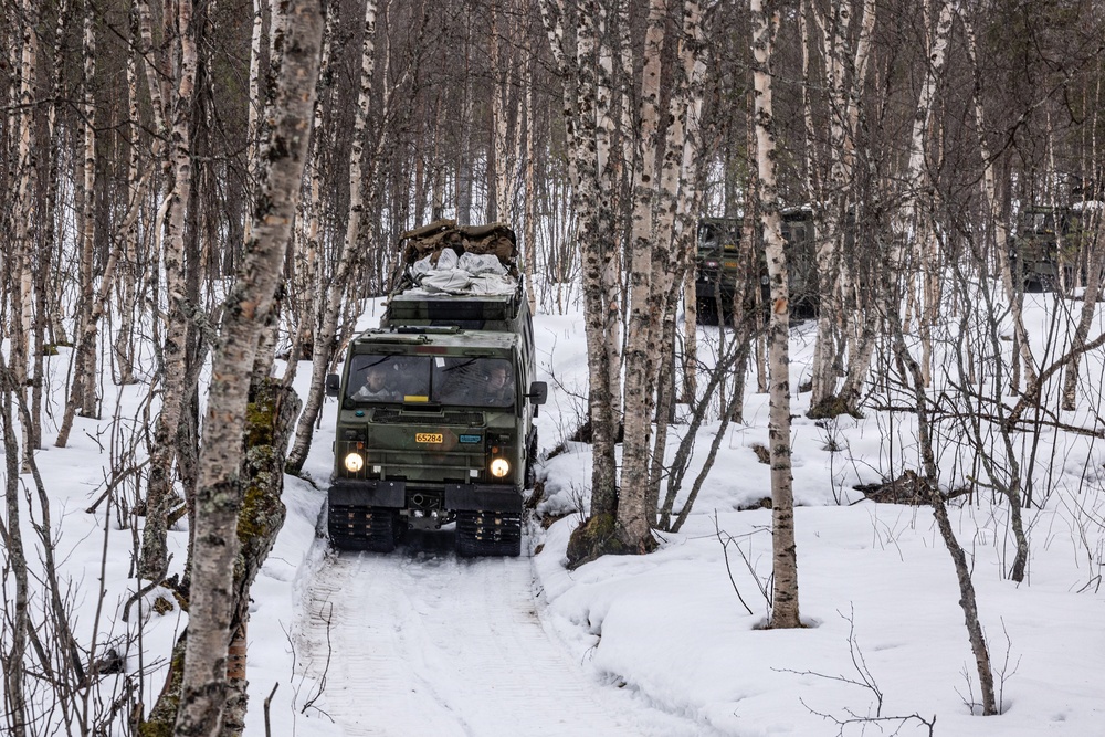 CORE26 | U.S. Marines, Allied Partners Engage in Force-on-Force Combined Simulation During Cold Response