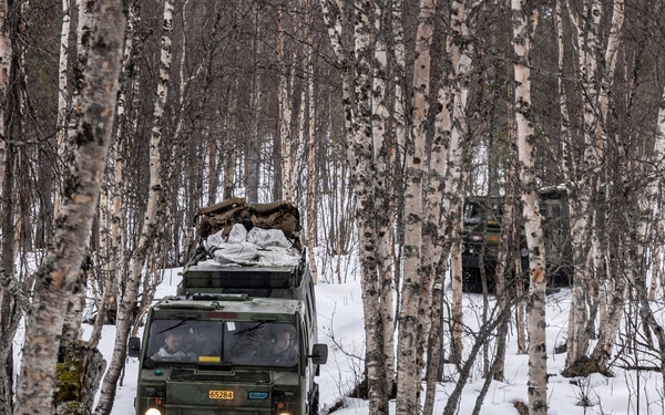 CORE26 | U.S. Marines, Allied Partners Engage in Force-on-Force Combined Simulation During Cold Response