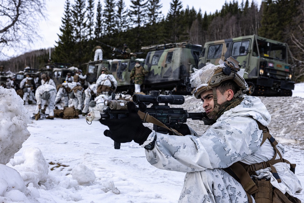 CORE26 | U.S. Marines, Allied Partners Engage in Force-on-Force Combined Simulation During Cold Response