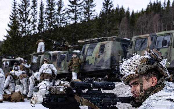 CORE26 | U.S. Marines, Allied Partners Engage in Force-on-Force Combined Simulation During Cold Response