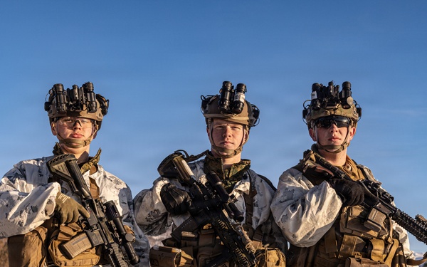 CORE26 | U.S. Marines, Allied Partners Engage in Force-on-Force Combined Simulation During Cold Response