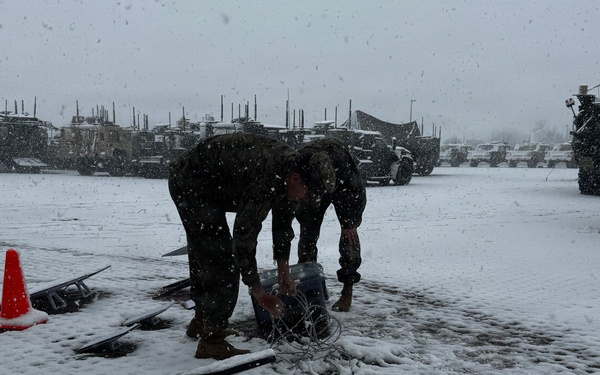 Project Dynamis Serial 005